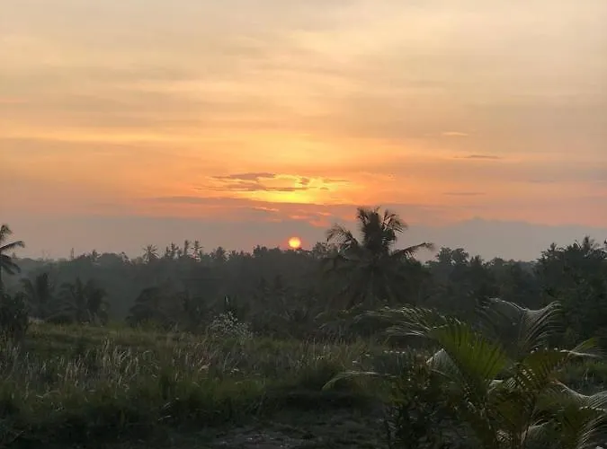 Sunset Cafe And Bungalow *